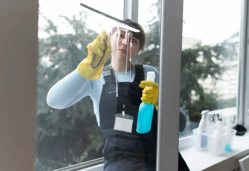 Nettoyage de vitres intérieures et extérieures à Blavignac